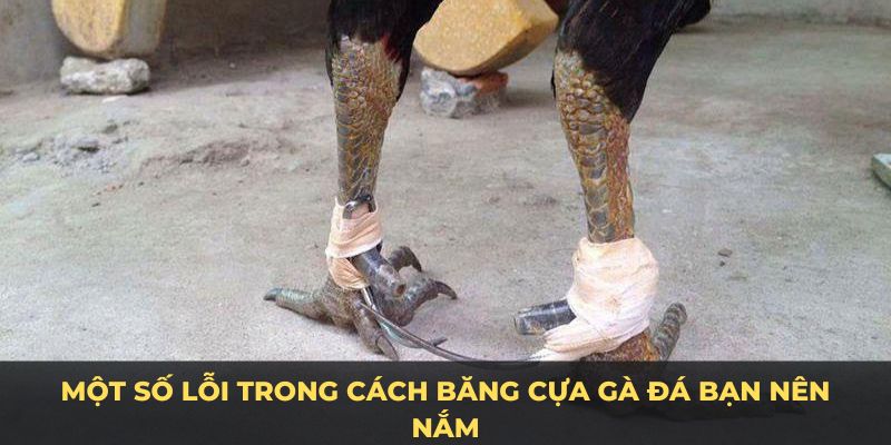 Một số lỗi trong cách băng cựa gà đá bạn nên nắm